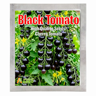 All Season Organic Black Cherry Tomato Seeds – 0.25 gm | Home Gardening Seeds