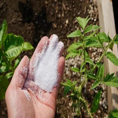 Premium Epsom Salt 150 gm – Magnesium Sulfate for Bath, Foot Soak & Gardening