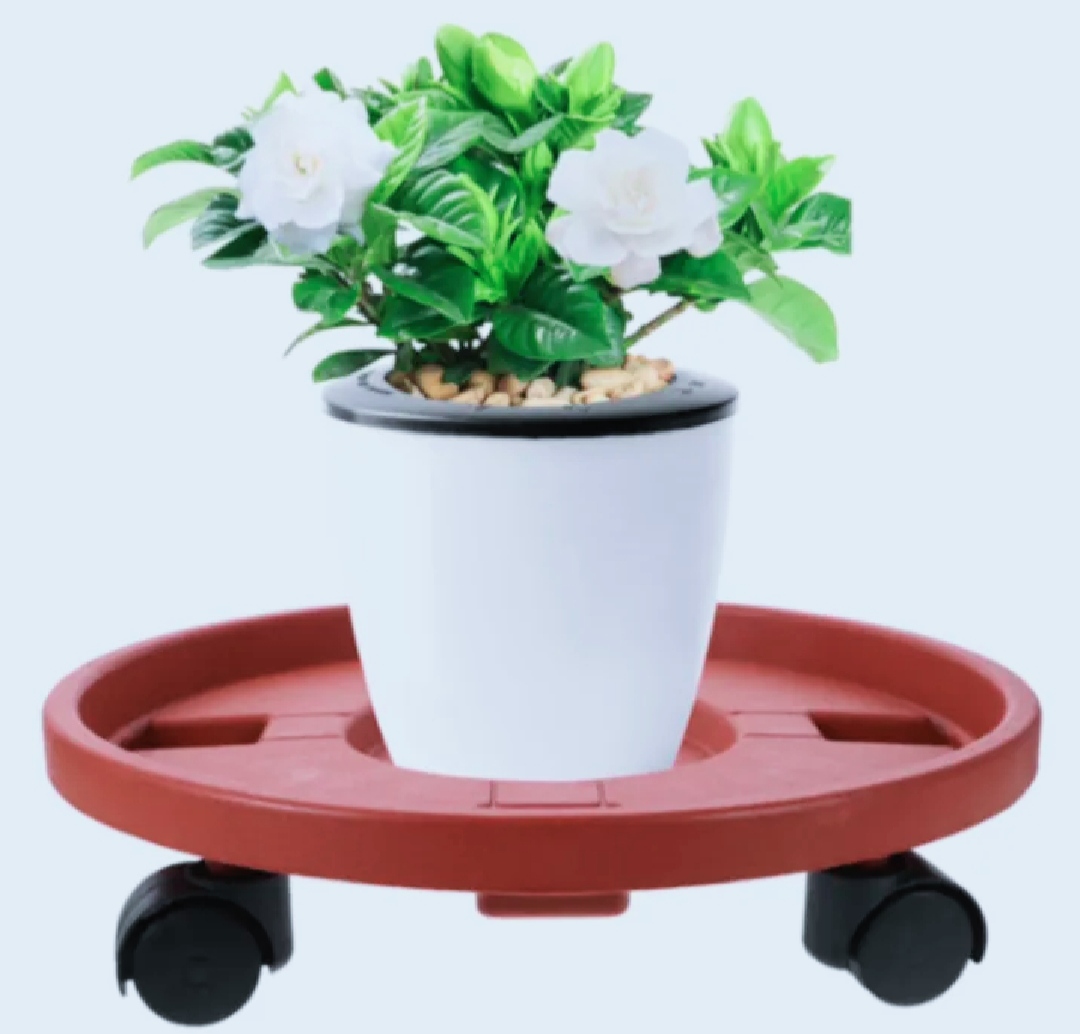 LPG Gas Trolley with Wheels | PVC Cylinder Trolley | Ezikini.com